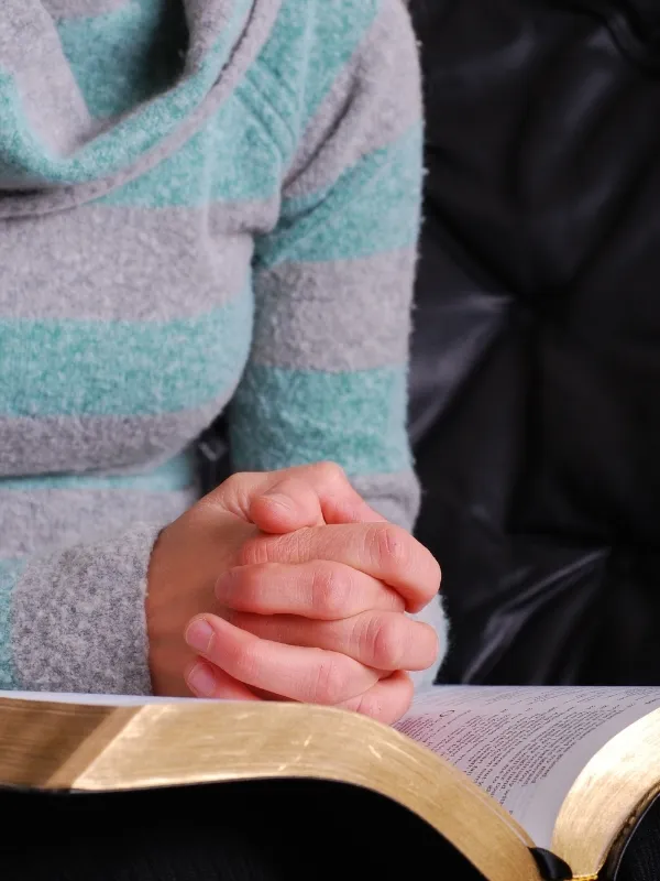 Program Features (2)